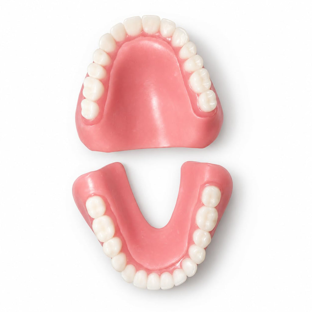 Heat and Fit NowDenture - Premium Immediate Lower Dentures - USA Made, Real Teeth, Custom Fit - No Impressions Needed for Fast Results at Home - Complete Kit with Sizing Trays - Large