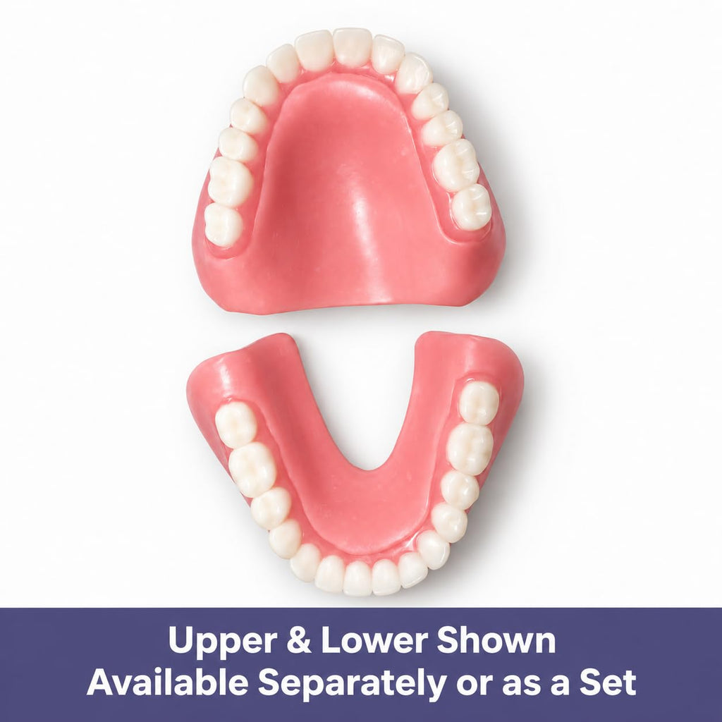 Heat and Fit NowDenture - Premium Immediate Lower Dentures - USA Made, Real Teeth, Custom Fit - No Impressions Needed for Fast Results at Home - Complete Kit with Sizing Trays - Large