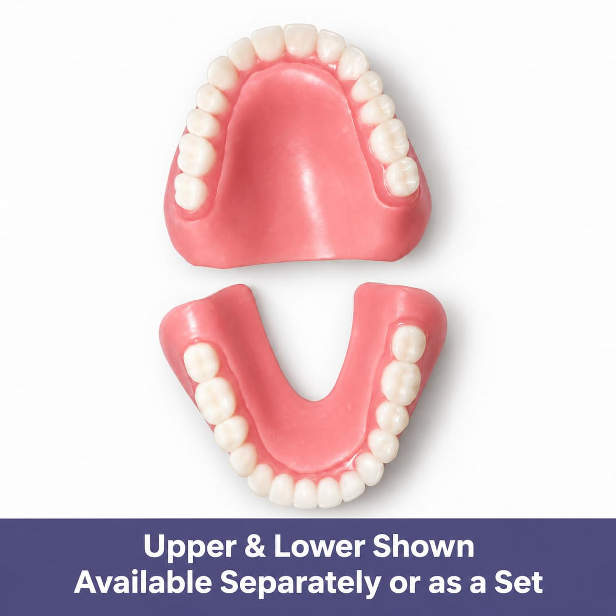 Heat and Fit NowDenture - Premium Immediate Lower Dentures - USA Made, Real Teeth, Custom Fit - No Impressions Needed for Fast Results at Home - Complete Kit with Sizing Trays - Large