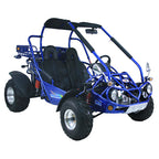 TrailMaster Eagle 300XRX-E 300cc Adult Go-Kart, EFI, Automatic CVT with Reverse, Electric Start, 2 Seats, Water-Cooled