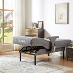Autumn Sale Limited Time Discount  The EzLift Deluxe