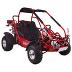 TrailMaster Eagle 300XRX-E 300cc Adult Go-Kart, EFI, Automatic CVT with Reverse, Electric Start, 2 Seats, Water-Cooled