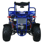 TrailMaster Eagle 300XRX-E 300cc Adult Go-Kart, EFI, Automatic CVT with Reverse, Electric Start, 2 Seats, Water-Cooled