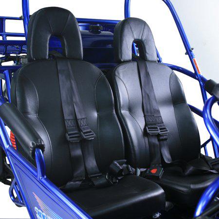 TrailMaster Eagle 300XRX-E 300cc Adult Go-Kart, EFI, Automatic CVT with Reverse, Electric Start, 2 Seats, Water-Cooled