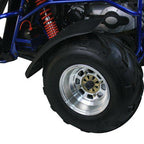 TrailMaster Eagle 300XRX-E 300cc Adult Go-Kart, EFI, Automatic CVT with Reverse, Electric Start, 2 Seats, Water-Cooled