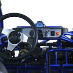 TrailMaster Eagle 300XRX-E 300cc Adult Go-Kart, EFI, Automatic CVT with Reverse, Electric Start, 2 Seats, Water-Cooled