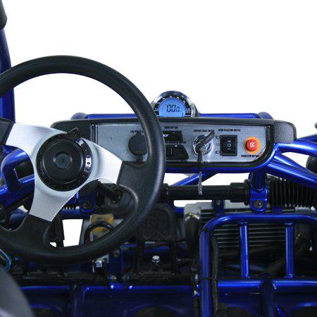 TrailMaster Eagle 300XRX-E 300cc Adult Go-Kart, EFI, Automatic CVT with Reverse, Electric Start, 2 Seats, Water-Cooled